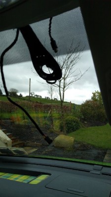 IMG-20210408-WA0002.jpeg